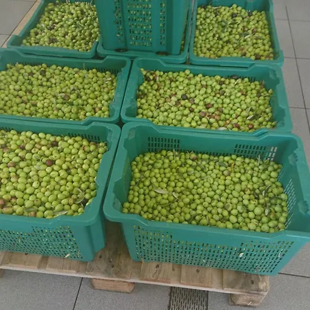 Stari Zoganj - Two Bedroom With Terrace And Swimming Pool * Potomje