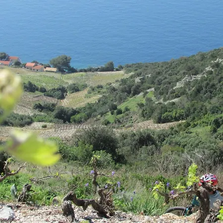 Stari Zoganj - Two Bedroom With Terrace And Swimming Pool