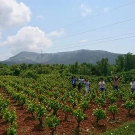 Stari Zoganj - Two Bedroom With Terrace And Swimming Pool *