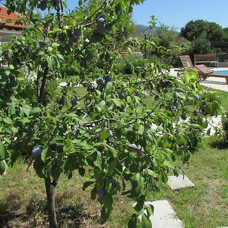 Stari Zoganj - Two Bedroom With Terrace And Swimming Pool