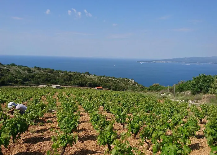 Stari Zoganj - Two Bedroom With Terrace And Swimming Pool