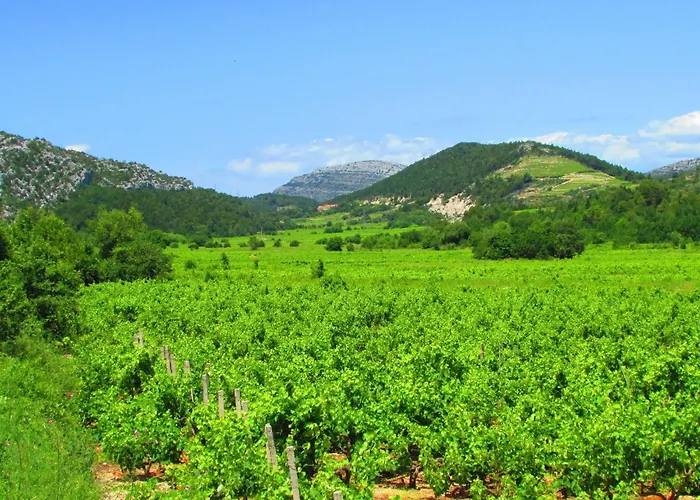 Holiday home Stari Zoganj - Two Bedroom With Terrace And Swimming Pool *