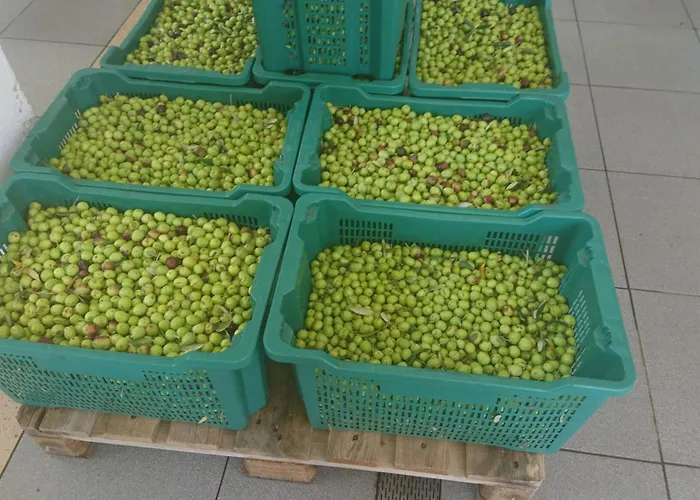 Stari Zoganj - Two Bedroom With Terrace And Swimming Pool * Potomje