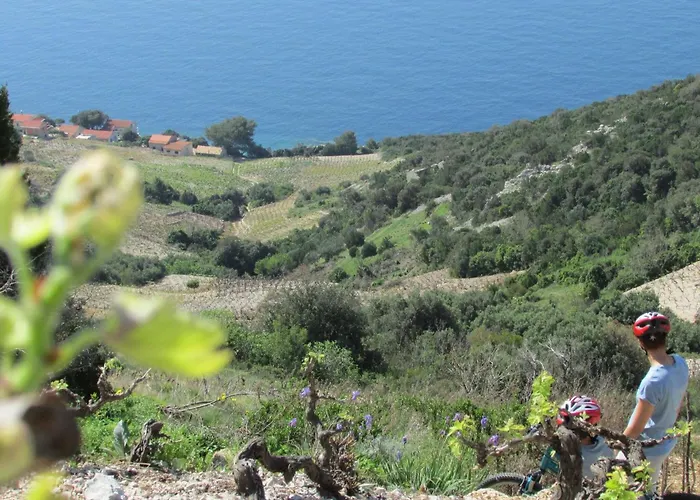 Stari Zoganj - Two Bedroom With Terrace And Swimming Pool