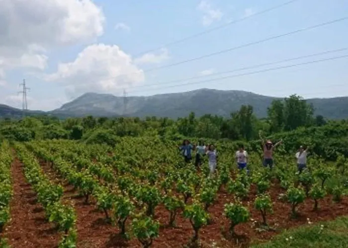 Stari Zoganj - Two Bedroom With Terrace And Swimming Pool *